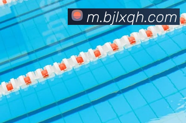 澳门百家乐网站服务体系